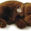 TheHolidayBarn.com New! Breathing Chocolate Lab Puppy