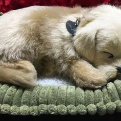 TheHolidayBarn.com New! Breathing Golden Retriever Puppy