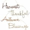 Bethany Lowe Cursive Fall Word Ornaments