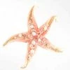 Katherine's Collection New! Jeweled Starfish Ornament, Large