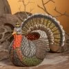 Bethany Lowe Johanna Parker Festive Turkey Container