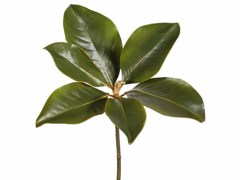TheHolidayBarn.com Magnolia Leaf Picks, Set Of 3 New!