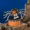 Bethany Lowe New! Mr. Bones Spider On Box