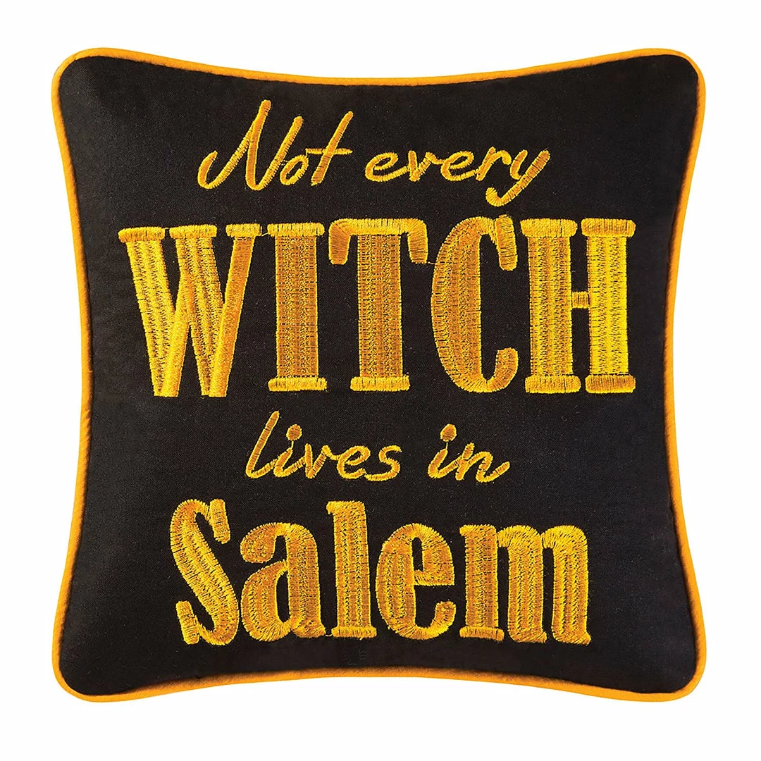 TheHolidayBarn.com New! Salem Witch Pillow