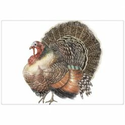 Mary Lake-Thompson New! Vintage Turkey Towel