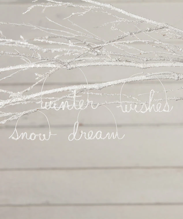 Bethany Lowe New! Winter Cursive Wire Word Ornaments